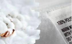 COTTON VS POLYESTER Small pic